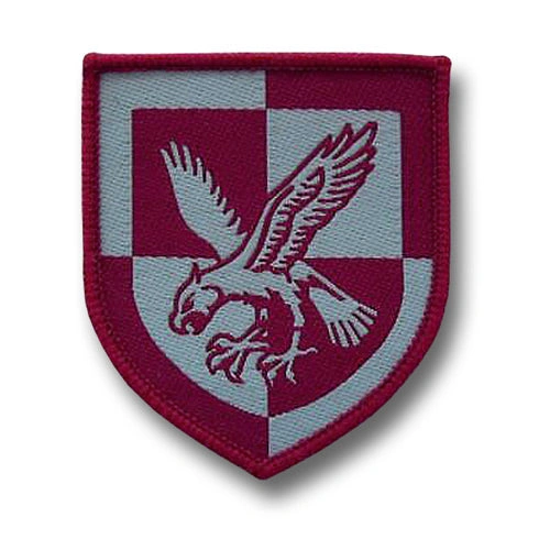 16 Luchtlandingsbataljon: Zeldzame DZ-badge voor verzamelaars en liefhebbers!